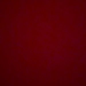 Meet your Posher, Rena